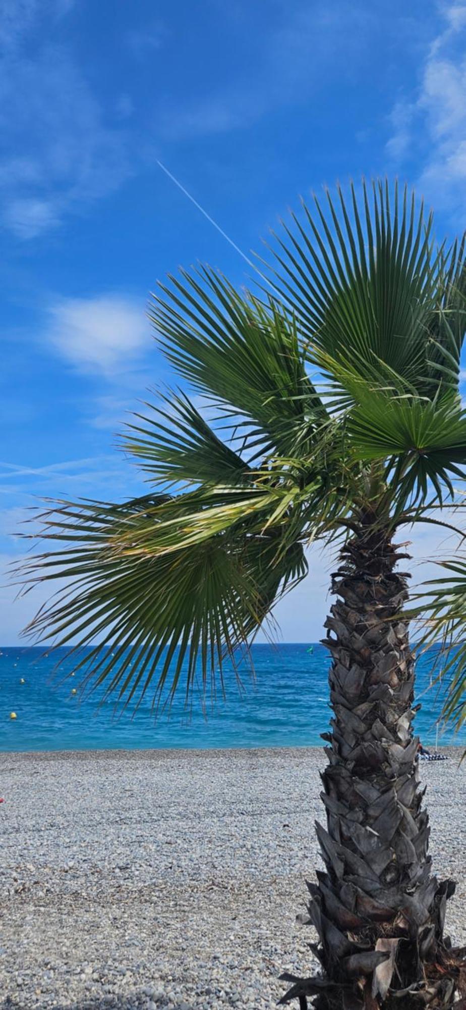 Studio Saint-Laurent-Du-Var Bord De Mer Ngoại thất bức ảnh